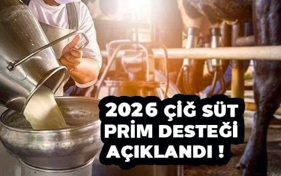 2026 Yılı Çiğ Süt Desteği| enbahce.com