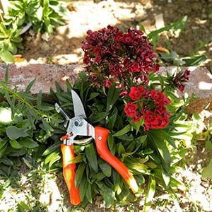 En İyi Akülü Budama Makası Seçimi ve Tavsiyeleri | enbahce.com