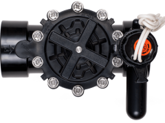 Rain Bird 200-Pga 2'' 24V Elektrikli Selenoid Vana