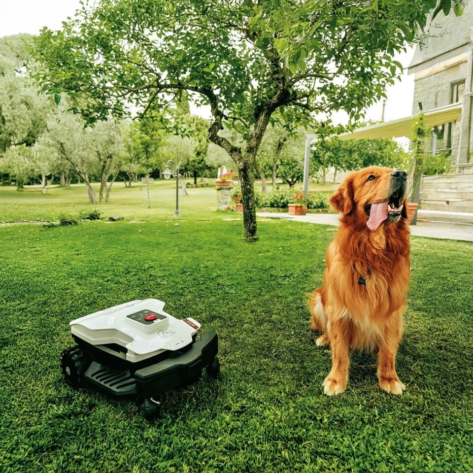 Ambrogio Twenty 25 Elite Çim Biçme Robotu