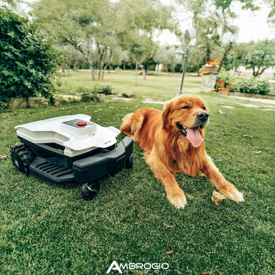 Ambrogio Twenty 25 Elite Çim Biçme Robotu