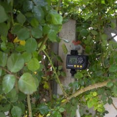 Engarden WT-238 Musluk Tipi Zamanlayıcı (LED Ekran)