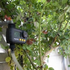 Engarden WT-238 Musluk Tipi Zamanlayıcı (LED Ekran)