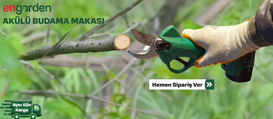11.01.2025_engardenbudamamakasi